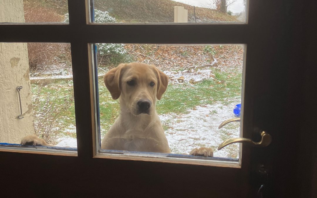 Kom je buiten spelen?