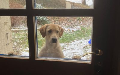 Kom je buiten spelen?