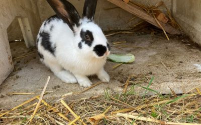 Roxy đ°â€ïžđđ