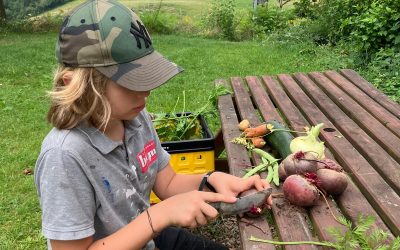 Augustus 2024; Nog steeds zomervakantie