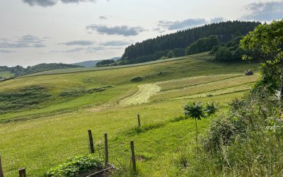 Beschermd: Cheptendiau