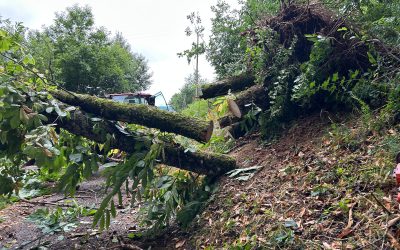Beschermd: La cantine